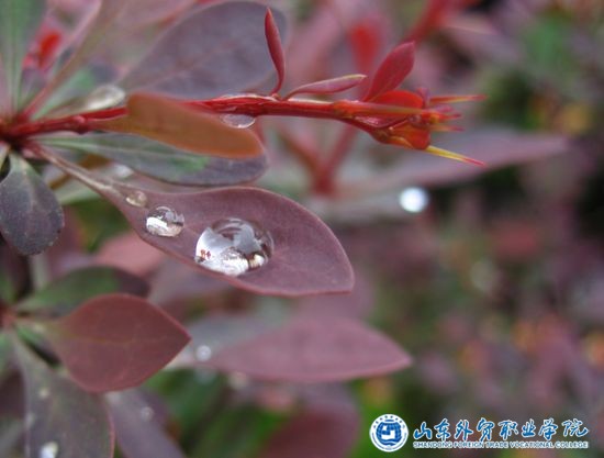 杨凯 （12国贸2）微观世界.jpg